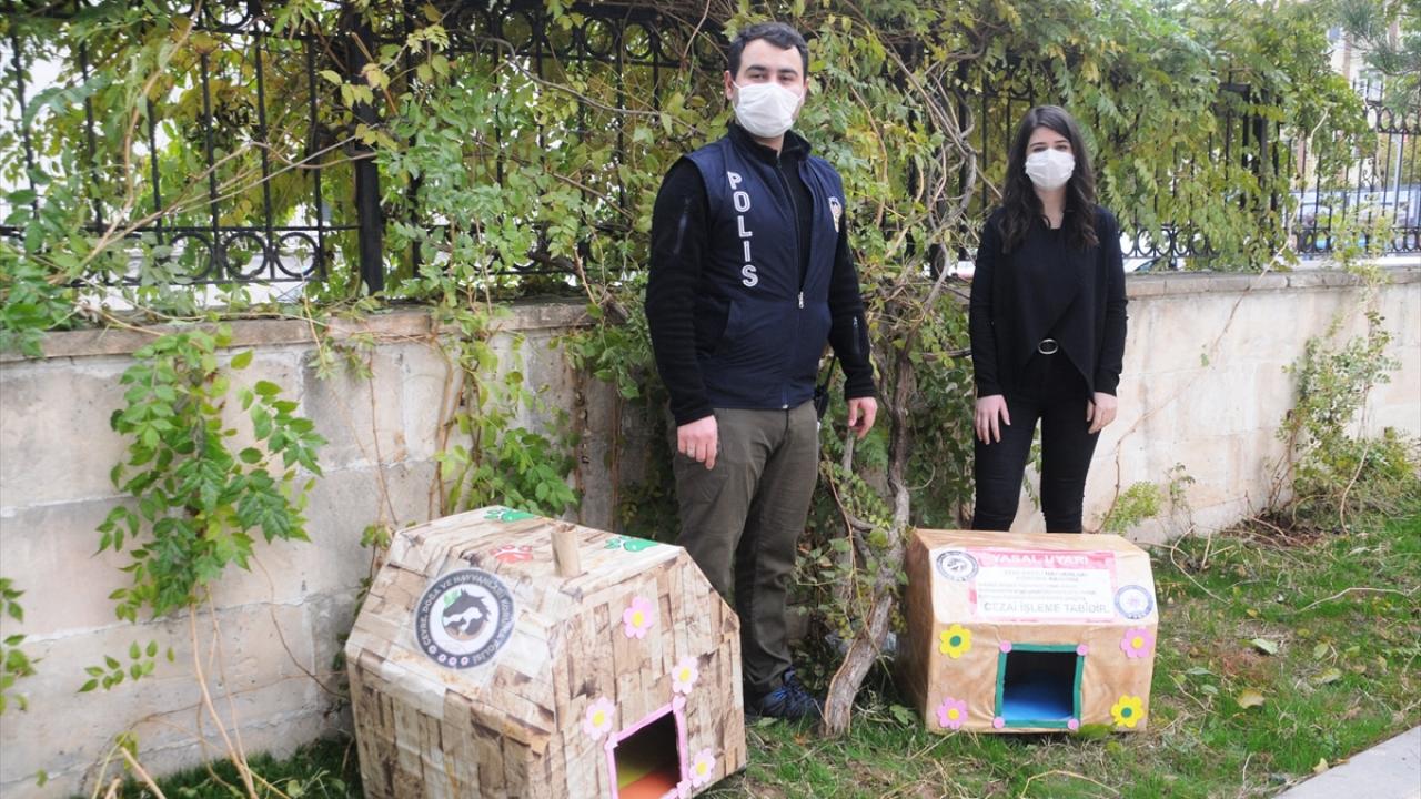 Cizre�de polis, sokak hayvanları için kedi ve köpek evleri yaptı TRT
