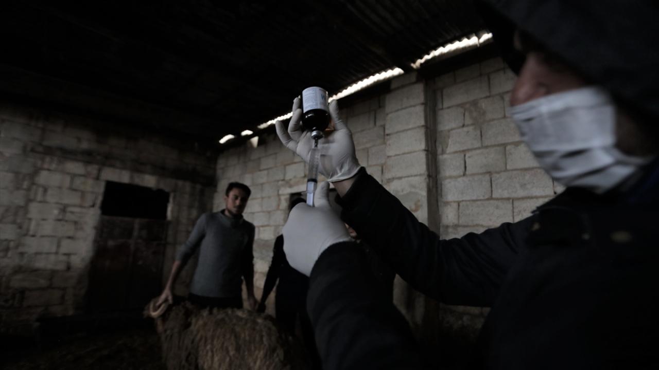 "Elimizde bir veri tabanı oluşacak"