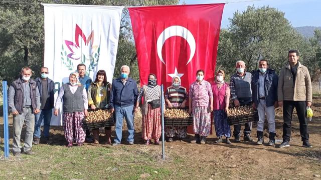 Bayındırlı üreticilere nergis desteği