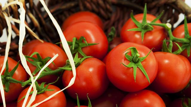 Rusya, Türkiyeden aldığı domates kotasını artırdı