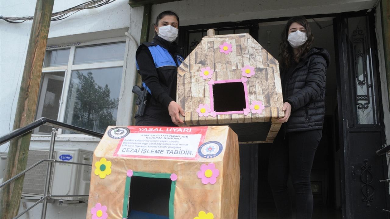 Cizre�de polis, sokak hayvanları için kedi ve köpek evleri yaptı TRT