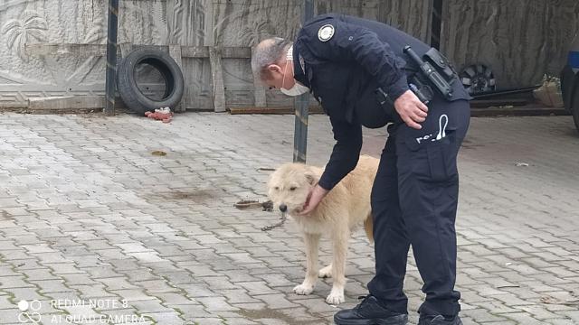 Köpeğe eziyete 947 lira para cezası