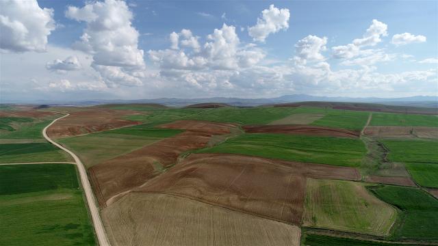 5 ilde 186 bin 203 hektar alan toplulaştırıldı