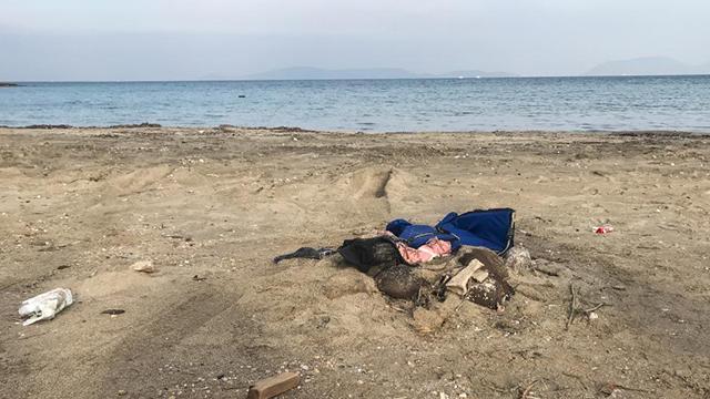 Mısır sahilinde 7 göçmenin cansız bedenine ulaşıldı