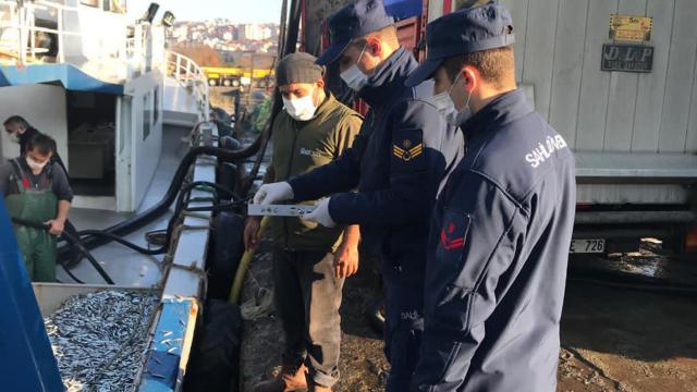 Rizede 40 ton hamsiye el konuldu