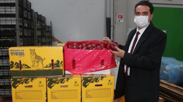 İhraç edilen her 3 elmadan biri Karamanda üretiliyor
