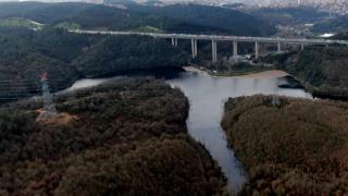 Elmalı Barajı'nı yosun kapladı