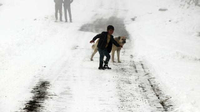 Iğdırın dağ köylerinde kış zorlu geçiyor