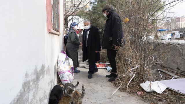Kayseride mektup yazarak kedilerine mama isteyen hayvansevere belediyeden destek
