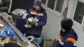 Rusya'da, arıtma tesisinde çuvalda bulunan kedi ölümden kurtarıldı