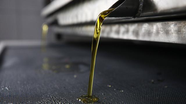 Milas Zeytinyağı, Avrupa Birliği nezdinde de tescillendi