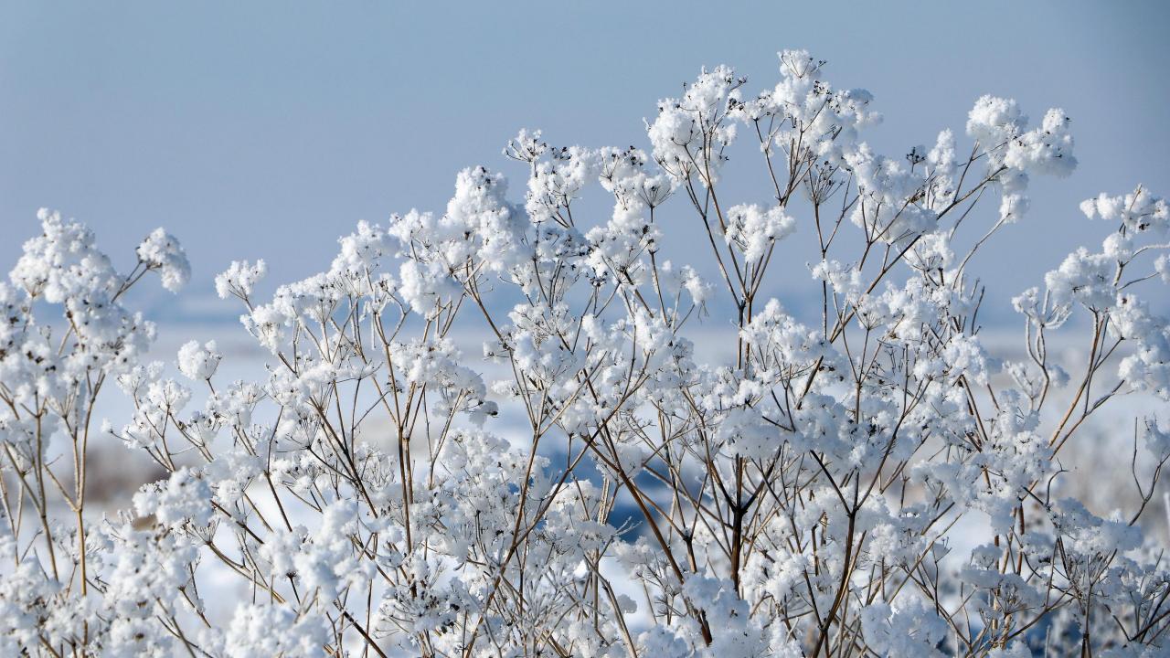 Termometrelerin eksi 26,1 dereceyi gösterdiği Taşlıçay, dün gece Türkiye`nin en soğuk yerleşim birimi oldu. 