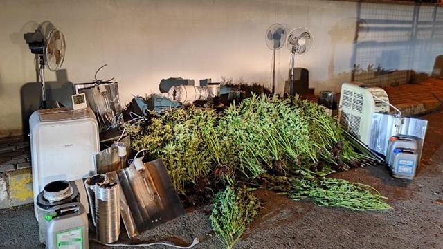 İstanbulda 23 kilogram esrar ele geçirildi