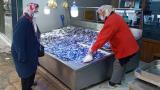 Sinop'ta hamsi boy ve iriliğine göre 10-25 liradan satılıyor