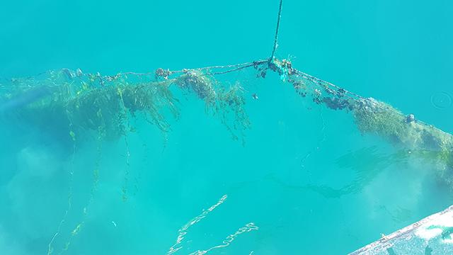 Beyşehir Gölünden 470 hayalet ağ çıkarıldı