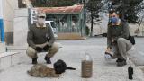 HAYDİ polisleri sokak hayvanlarını unutmadı