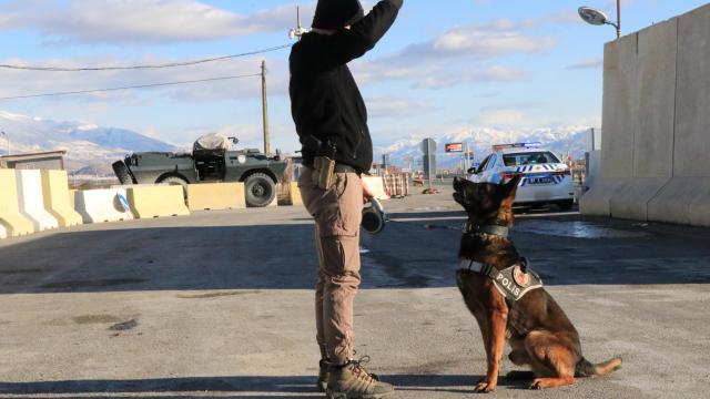 Hassas burun "Odin" zehir tacirlerine geçit vermiyor