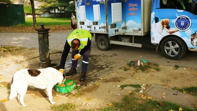 Bursada salgın döneminde sokak hayvanları unutulmadı