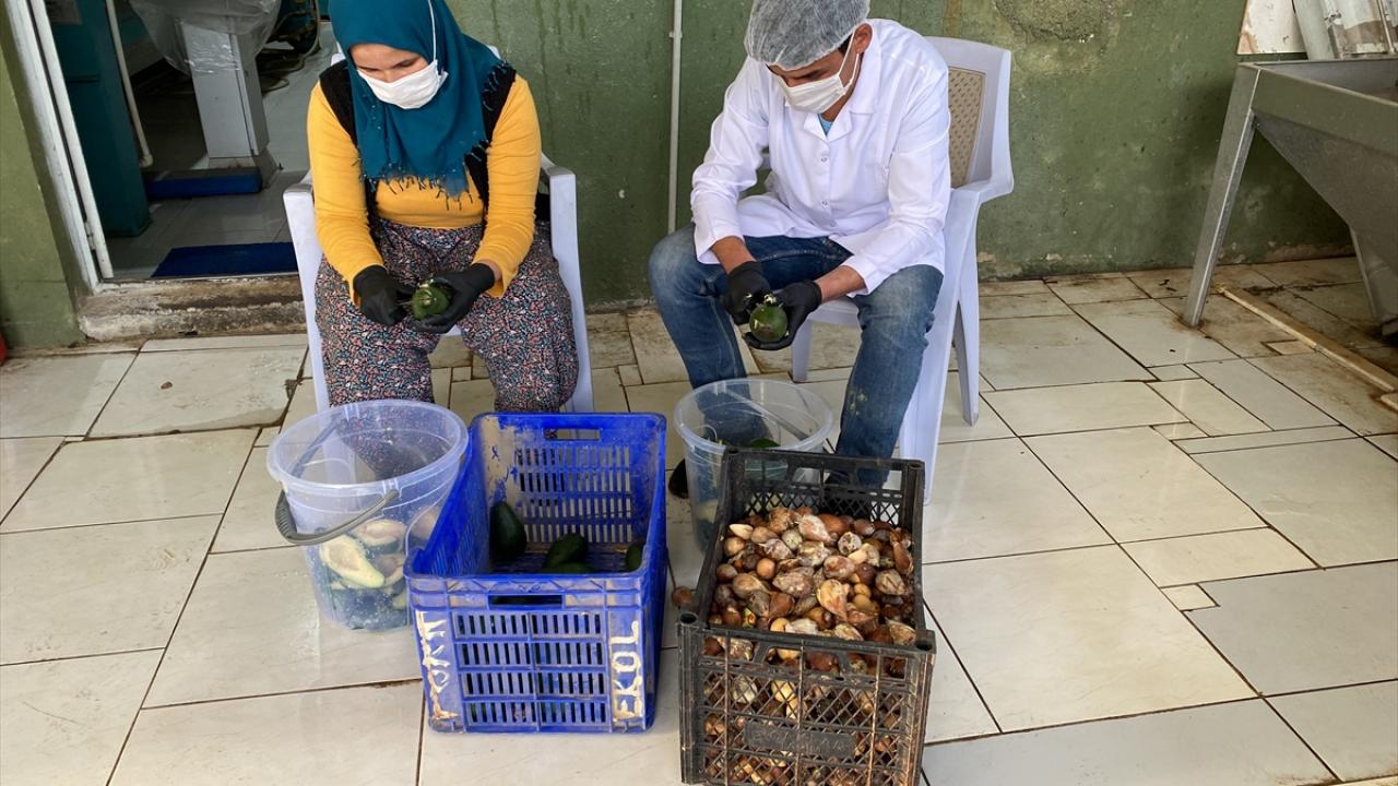 Yağı 250, çekirdeği 2,5 lira 