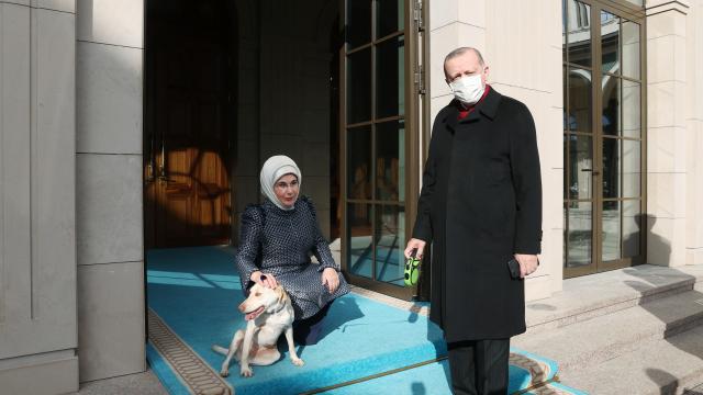 Emine Erdoğan, Cumhurbaşkanı Erdoğanı "Leblebi" ile birlikte uğurladı