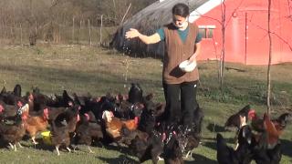 Kentten köye göç eden aile doğal yaşam sürüyor