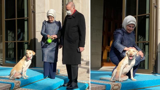 Emine Erdoğan, Cumhurbaşkanı Erdoğanı Leblebi ile uğurladı