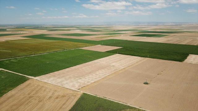 Eskişehirde 14 bin hektar alanda toplulaştırma yapıldı