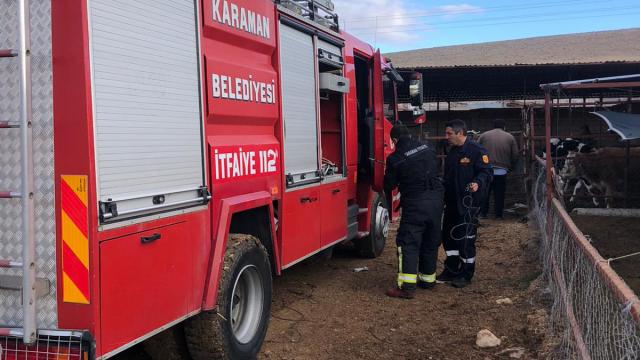 Karamanda kuyuya düşen inek itfaiye ekiplerince kurtarıldı