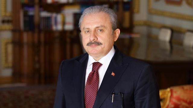 TBMM Başkanı Şentoptan Nur Vergin için taziye mesajı
