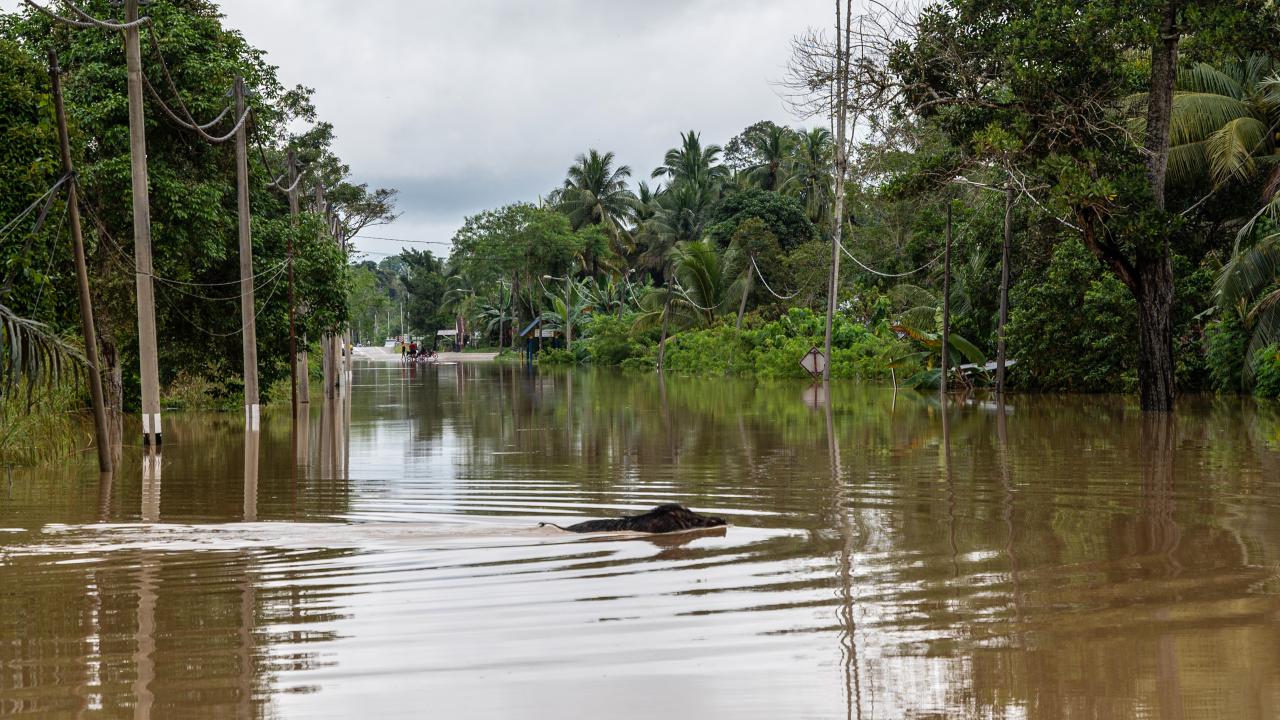 İtfaiye ve Kurtarma Birimlerinden yapılan açıklamada, Johor`da sel baskınlarının olduğu bölgelerde tahliye edilen kişi sayısının hafta sonu 1780`den 6 bin 557`ye yükseldiği bildirildi.