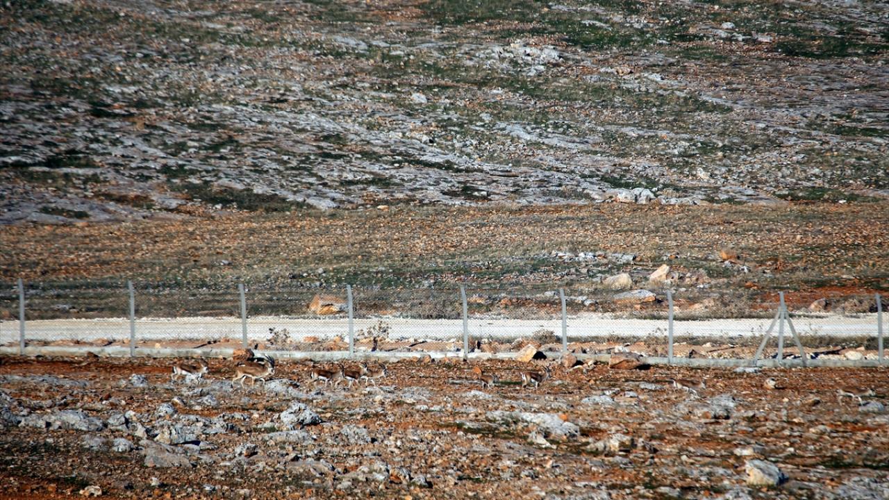 "Ekiplerimiz canı pahasına sahada"