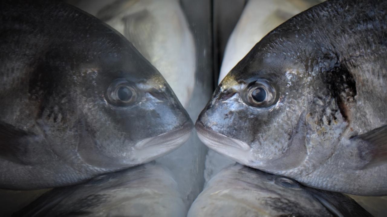Vatandaşların yoğun ilgisi, esnafın yüzünü güldürüyor.