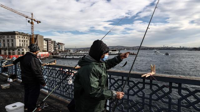 Olta balıkçılarının misina ve iğneleri, diğer canlılar için tehlike oluşturuyor