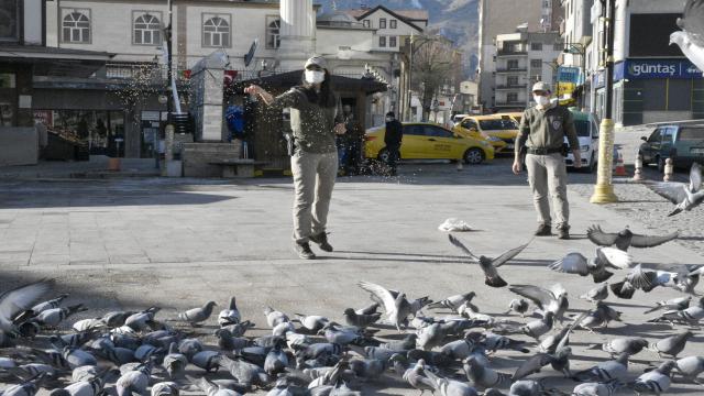 Gümüşhanede sokağa çıkma kısıtlamasında sokak hayvanlarını polisler besliyor