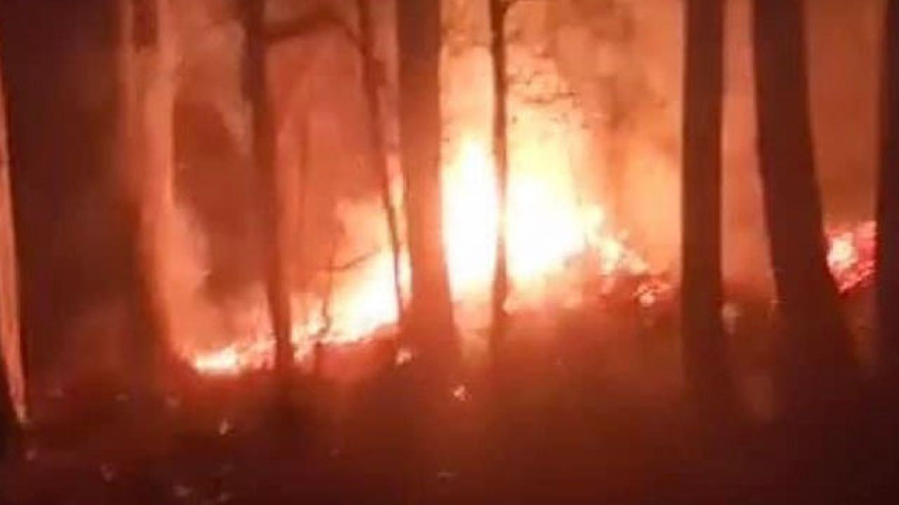 Düzce'nin Üvezbeli köyünde ormanlık alanda yangın