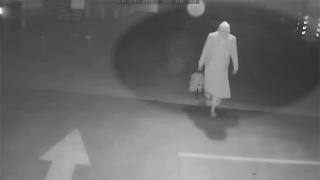 5 milyonluk cipi çalan kadın kılığındaki hırsız yakalandı