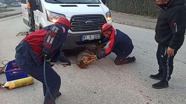 Servis minibüsünün altında kalan köpeği itfaiye kurtardı