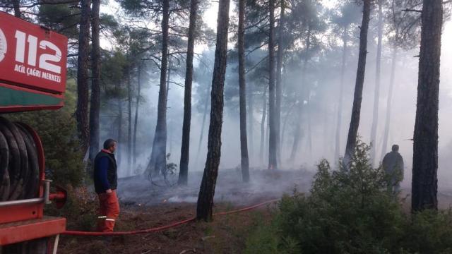 Orhanelide ormanlık alanda çıkan örtü yangını söndürüldü