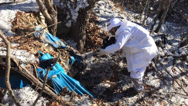 Siirt kırsalında teröristlere ait silah ve mühimmat ele geçirildi