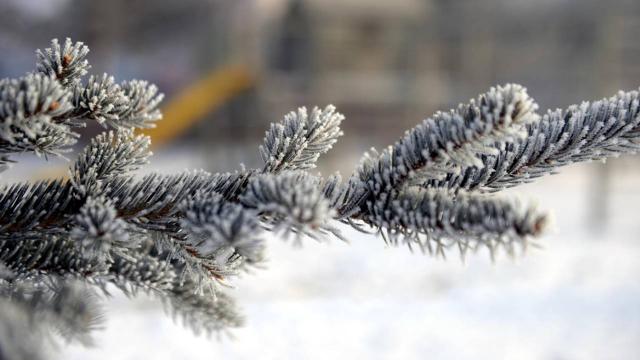 Doğu Anadoluda gece en düşük sıcaklık Kars ve Ağrıda ölçüldü