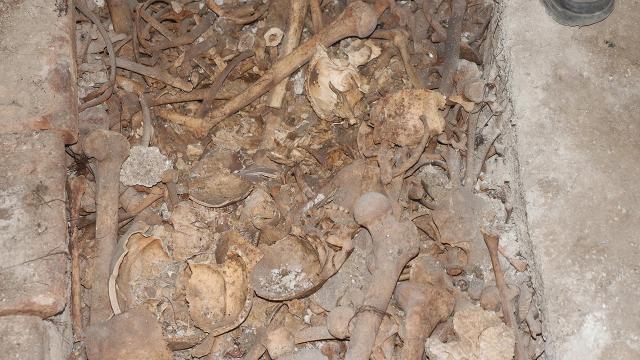 Traktör tekerinin düştüğü çukurda toplu mezar bulundu