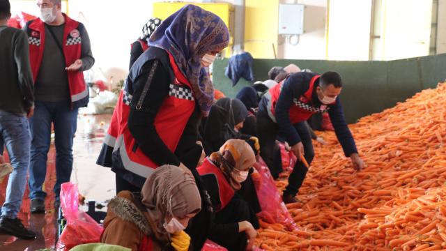 "Uygulamalı Çiftçi Okulu" hem öğretecek hem de istihdam sağlayacak
