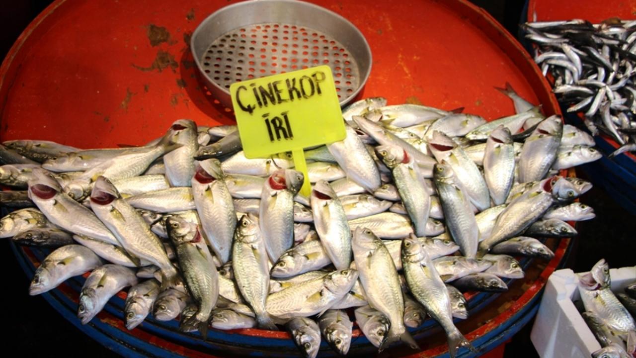 Aralık 2019`da az sayıda olan çinekop geçen ay 4 bin 252 kasaya, 1724 kasa olan istavrit ise 2 bin 580 kasaya çıktı.