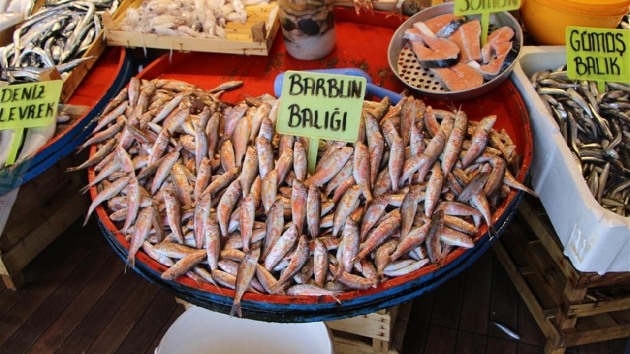 Balıkçı Ali Çakıroğlu ise bu sezon özellikle hamsinin veriminden memnun olduklarını dile getirdi.