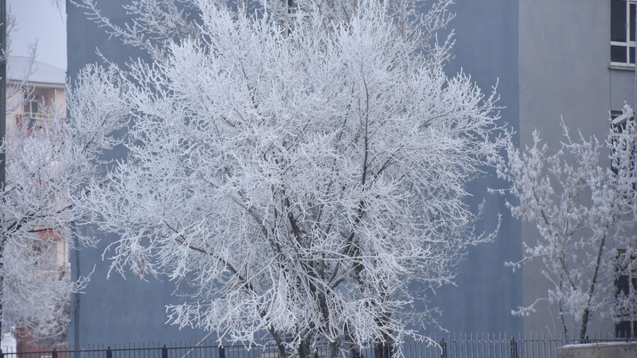 Sıcaklıkların mevsim normallerinin üzerinde seyredeceği bölgede, rüzgar güneyden hafif, zaman zaman orta kuvvette esecek.