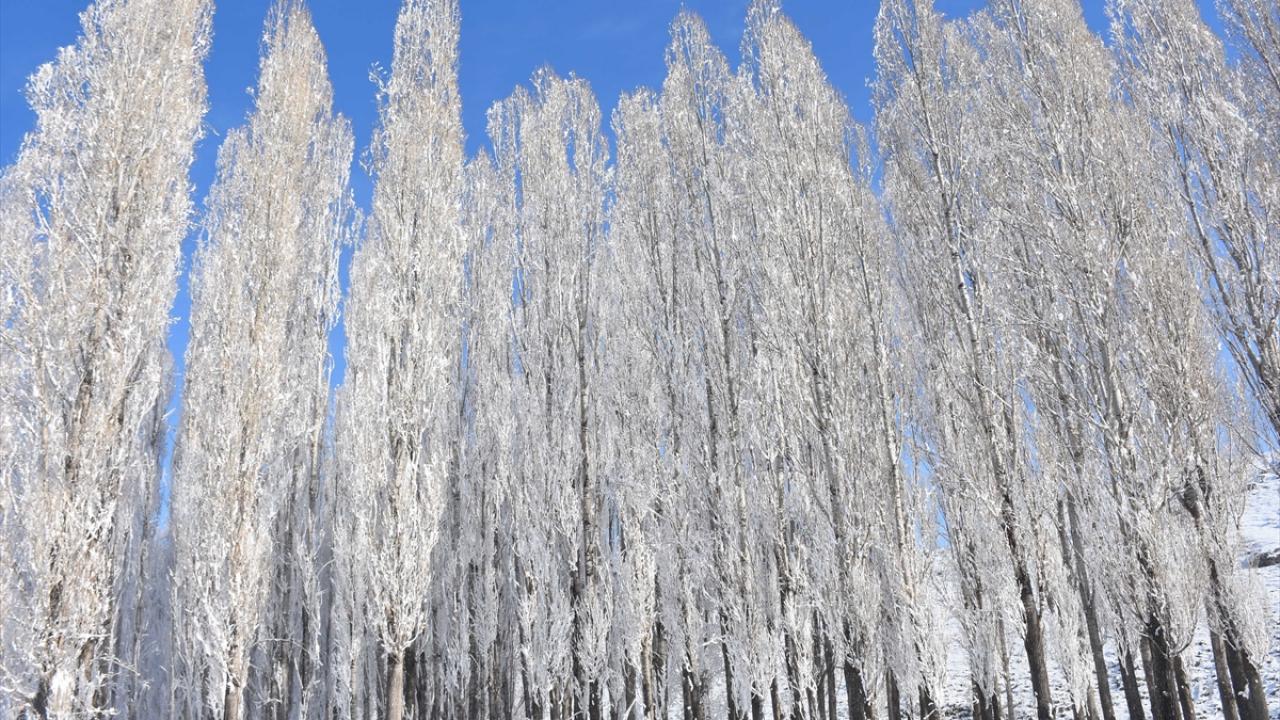 Gün içinde en yüksek sıcaklıkların ise Erzincan`da 9, Erzurum`da 3, Ağrı`da 1, sıfırın altında olmak üzere Ardahan`da 3, Iğdır`da 2, Kars`ta 1 derece olacağı tahmin ediliyor.