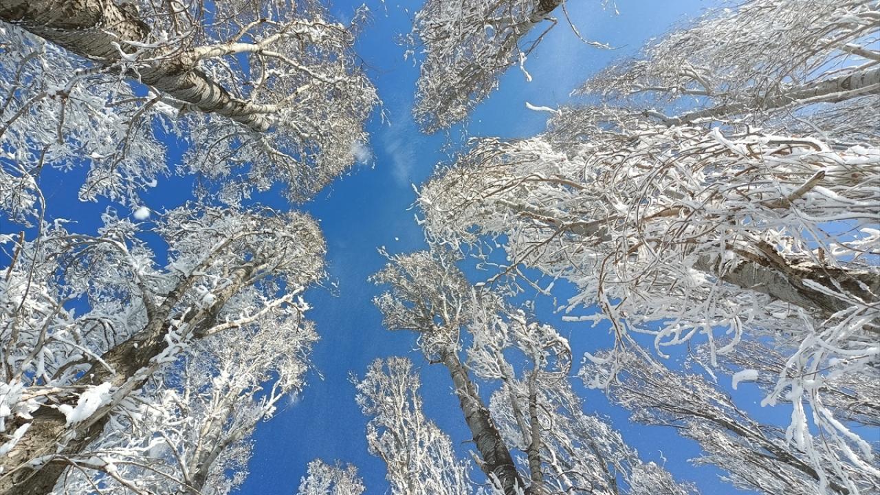 Bölge genelindeki buzlanma, don olayı ve sis nedeniyle, başta sürücüler olmak üzere, vatandaşlar ile yetkililerin dikkatli ve tedbirli olması istendi.