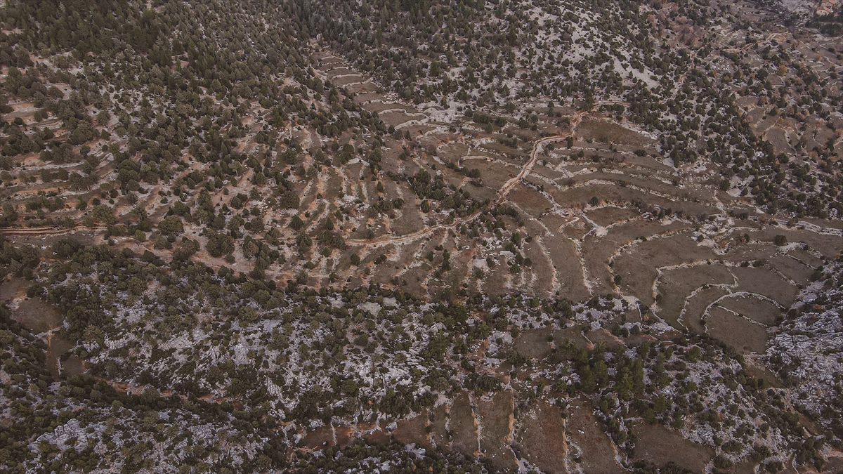 Kültürel miras yeniden canlandırılacak
