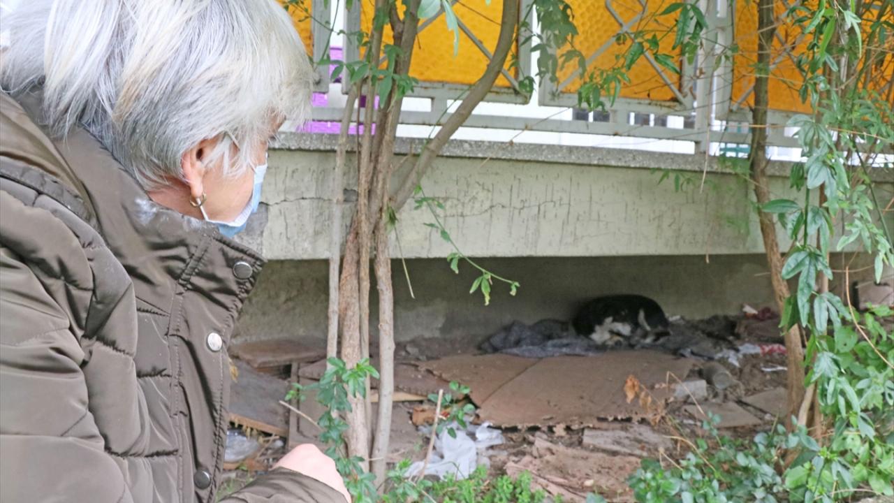 İlhan, kardeşinin vefatının ardından Şeker`in insanlardan ürktüğünü belirterek, şöyle konuştu: