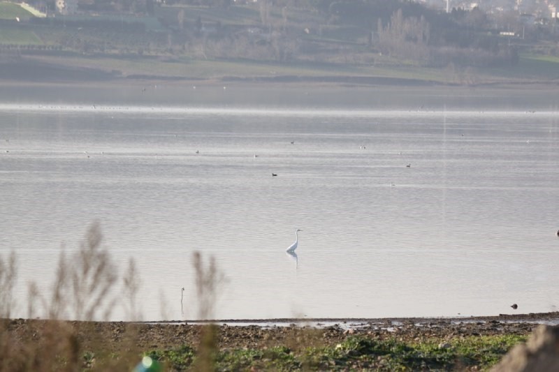 Yurt genelinde yağışların azalması ile kurak geçen sonbaharın ardından tehlike devam ediyor. 